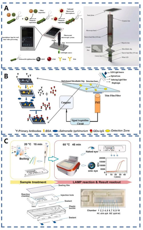熒光微流控與信息技術(shù)融合 食品安全分析的新范式