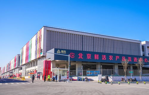 山東蘭陵蔬菜將規(guī)模化進(jìn)京